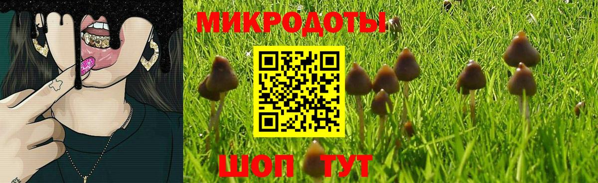 Псилоцибиновые грибы ЛСД Тула