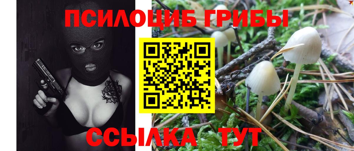 Тула  Галлюциногенные грибы Psilocybine cubensis  Вход с VPN  Псилоцибиновые грибы Psilocybine cubensis 